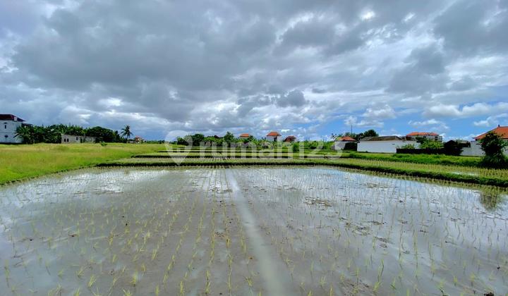 Tanah Kavling Dekat Nuanu & Pantai Nyanyi Tabanan - Siap Bangun, Lokasi Favorit Investor Dekat Canggu