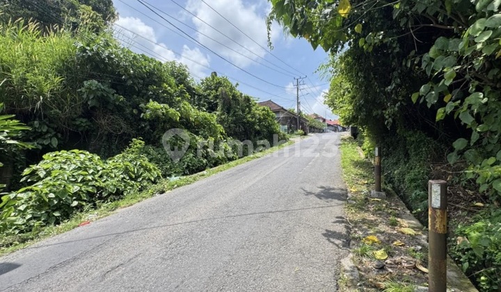 Tanah SHM di Jalan Utama - Cocok Kos/Toko, Roi Tinggi Dekat Living World Denpasar. Tanah SHM di Jalan Utama - Cocok Kos/Toko, Roi Tinggi Dekat Living World Denpasar.