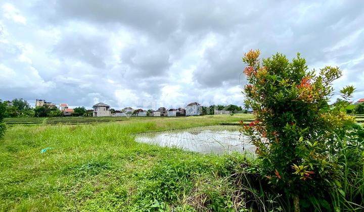 Tanah Kavling Dekat Nuanu & Pantai Nyanyi Tabanan - Siap Bangun, Lokasi Favorit Investor Dekat Canggu Tanah Kavling Dekat Nuanu & Pantai Nyanyi Tabanan - Siap Bangun, Lokasi Favorit Investor Dekat Canggu