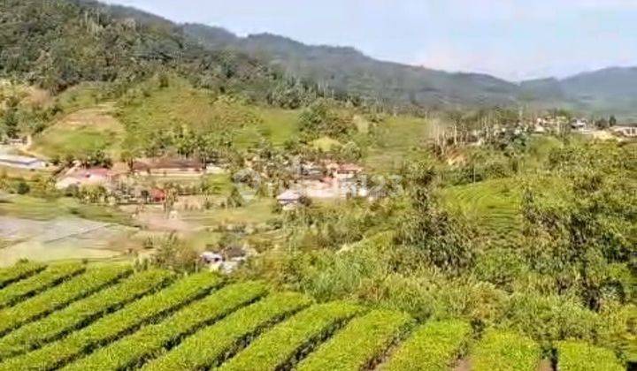 Tanah 34650  m² SHM SOLOK SELATAN SUMATRA BARAT 2