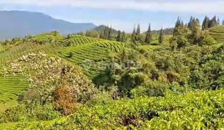 Tanah 34650  m² SHM SOLOK SELATAN SUMATRA BARAT 1