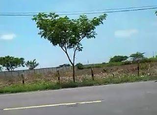 Dijual Tanah Zona Industri 4 Ha SHM di Widang Tuban 6