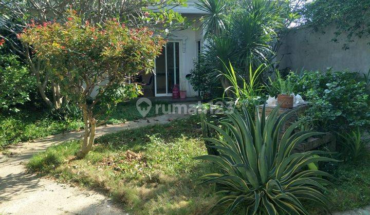 Dijual Rumah SHM Lt 434 M2 Lb 300 M2 di Jl Gedongan Mojokerto 5