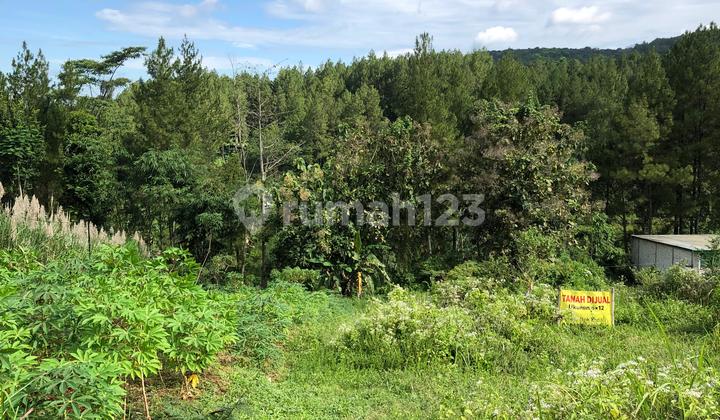 Jual Tanah Di Jasmine Park 3