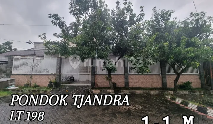 Tjandra Cottage House Row 3Car LT 198 SHM Ready to Occupy Tjandra Cottage House Row 3Car LT 198 SHM Ready to Occupy