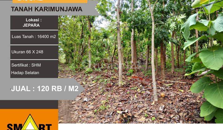 Dijual tanah karimun java lokasi stategis di Jepara 1