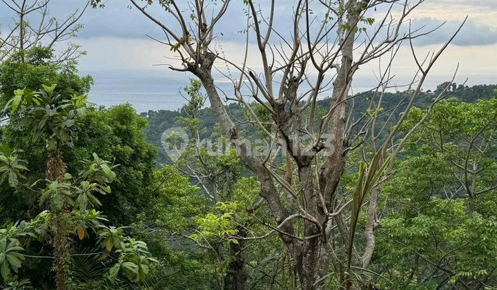 Tanah Ocean View Di Batu Layar - Lombok Barat