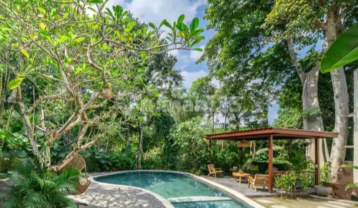 29-Year Leasehold Beautiful and Serene Villa in Tabanan Bali 29-Year Leasehold Beautiful and Serene Villa in Tabanan Bali