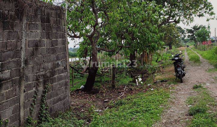 Tanah daerah hulaan menganti cocok untuk gudang 1