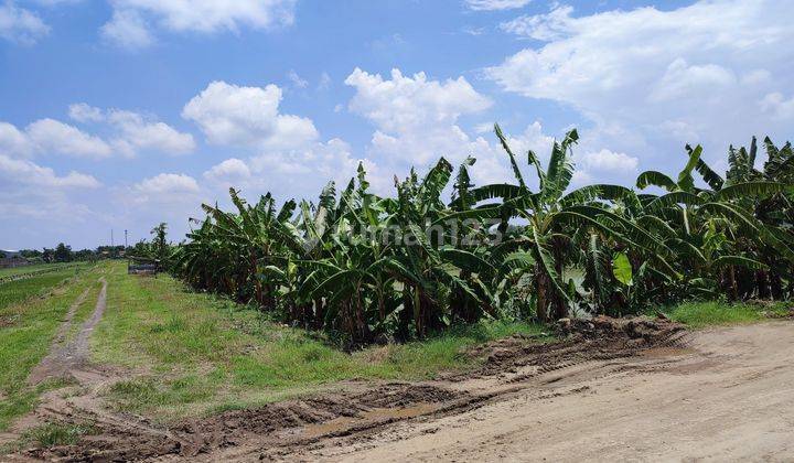 Tanah Industri Wringianom Gresik  2