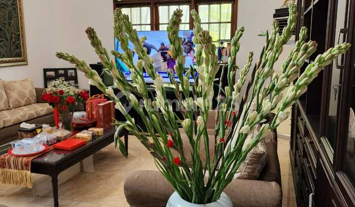 Rumah pantai mutiara 500m2 , 2 lantai, utara, bagus , tinggal masuk saja 2