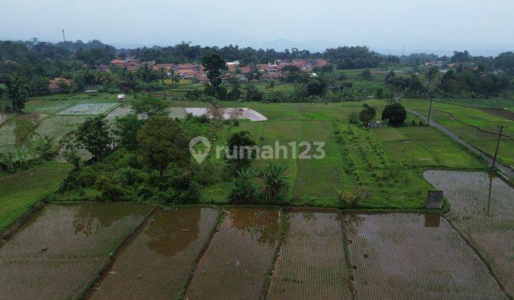 Dijual Tanah Sawah/ Persawahan 8000m² Di Gunung sari Pamijahan Bogor  2