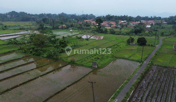 Dijual Tanah Sawah  Persawahan 8000m² Di Gunung Sari, Pamijahan Bogor.  2