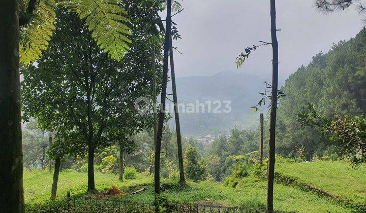 For Sale Tanah 6,790m² SHM, Edensor cam Site  (Google maps) Gunung Bunder/ Halimun Bogor 750 -MDPL  Potensial Prospek Best View. 1