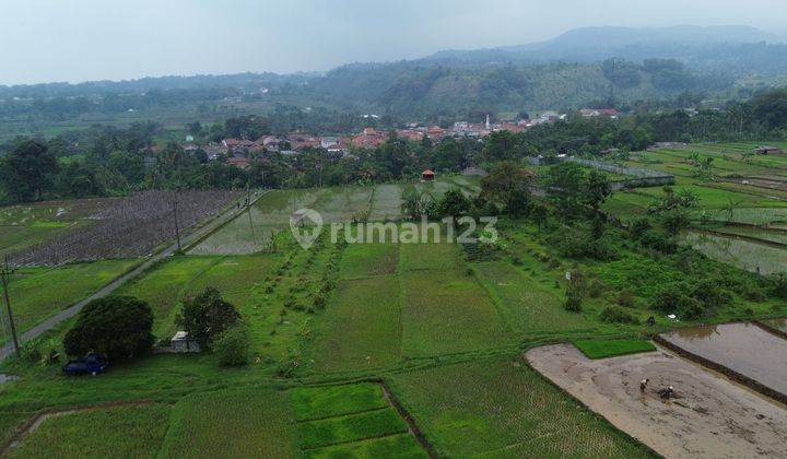 Dijual Tanah Sawah Persawahan 8000m² Di Gunung Sari, Pamijahan Bogor.  1