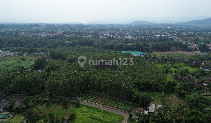 Dijual Tanah Potensial Prospek 4,5ha Jl Tegalwaru Ciampea, Bogor 2