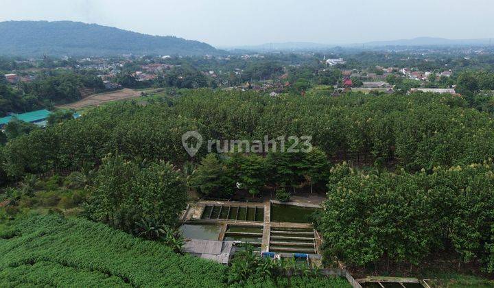 Dijual Tanah Potensial Prospek 4,5ha Jl. Tegalwaru Ciampea Bogor 2