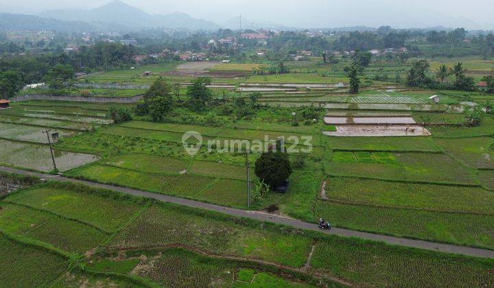 Dijual Tanah Sawah  Persawahan 8000m² Di Gunung Sari, Pamijahan Bogor.  1