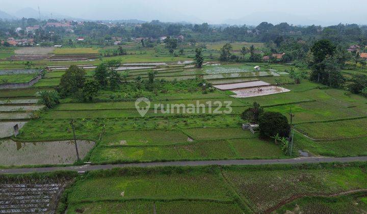 Dijual Tanah Sawah Persawahan 8000m² Di Gunung Sari, Pamijahan Bogor.  2