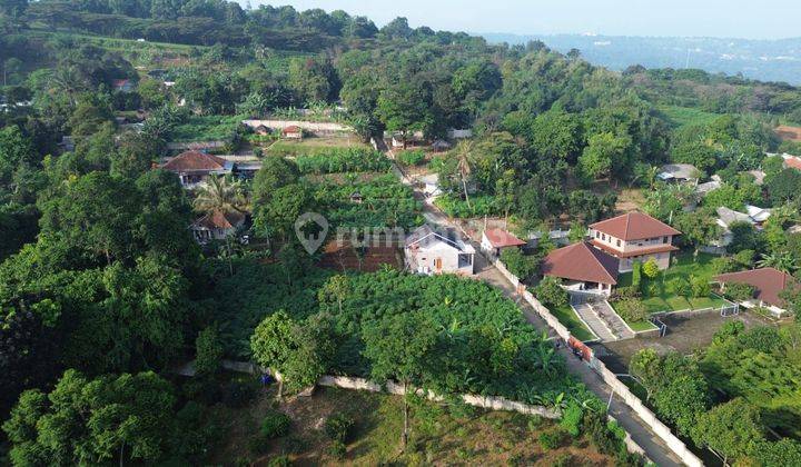 Dijual Tanah Di Perbukitan Cijayanti Sentul Bogor Udara Sejuk Dan Asri, Cocok Untuk Villa & Tempat Tinggal.  1