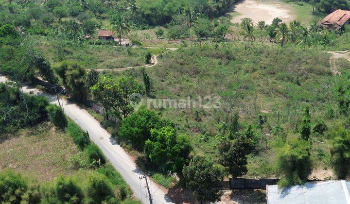 Dijual Tanah 5Ha SHM Potensial Prospek, Sukamakmur Bogor. 2