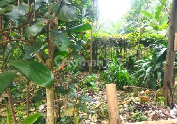 Tanah 3870 M2 di Sayap Ciraden Cipatik Soreang Kutawaringin Ref.05290