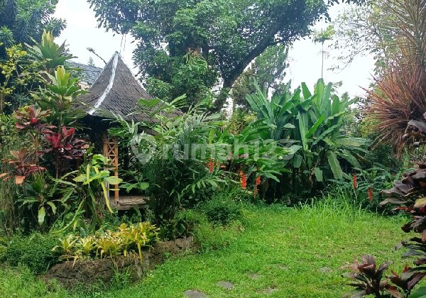 For Sale Ready-to-Occupy House Needs Renovation In Cipedes 2