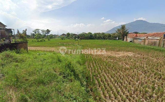 Tanah 3700m2 Rancaekek Cocok Untuk Perumahan Pergudangan Ref.04343 2