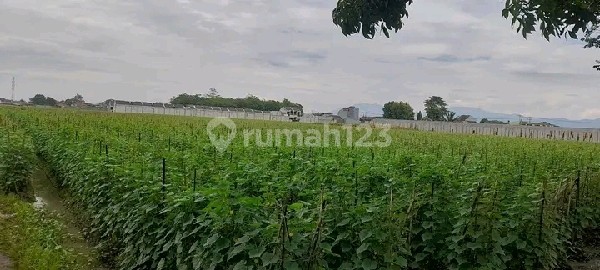 Tanah Luas 250.000 m2 di Bojongsoang, Bandung Ref.04976 Tanah Luas 250.000 m2 di Bojongsoang, Bandung Ref.04976