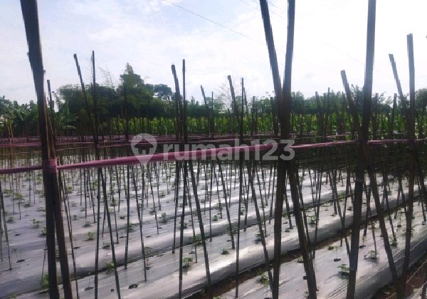 Tanah 3000 M2 di Jelegong Gunung Pancir Kutawaringin Ref.05311