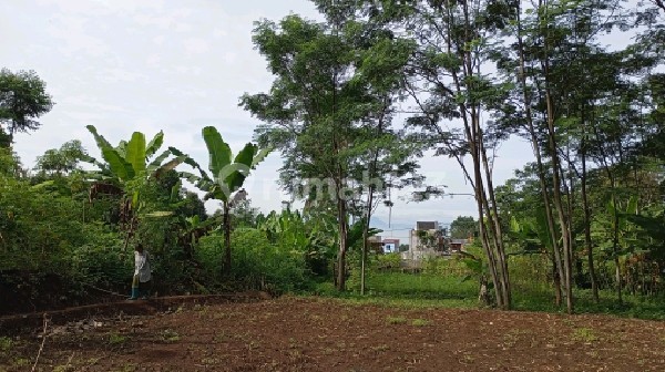 Tanah 6200 M2 Sayap Padalarang, Kbb Ref.04992