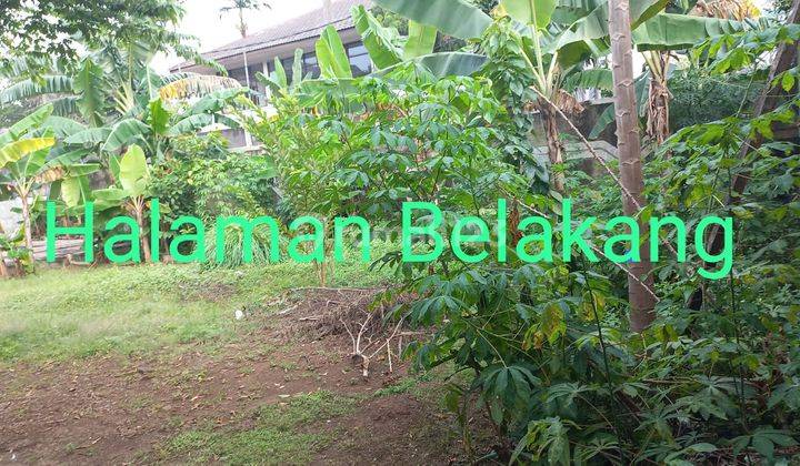 Rumah tua hitung tanah dekat Sekolah Prancis Jl. Melati Cilandak Jaksel 2