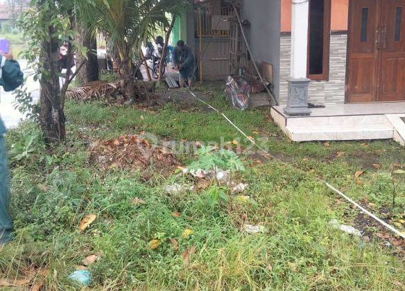 Jual Tanah Nol Jalan Raya desa Sukodono 3