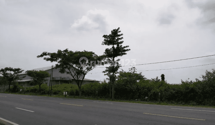 Tanah Siap Bangun Untuk Industri Nol Jalan Raya Pantura Area Widang, Tuban  2