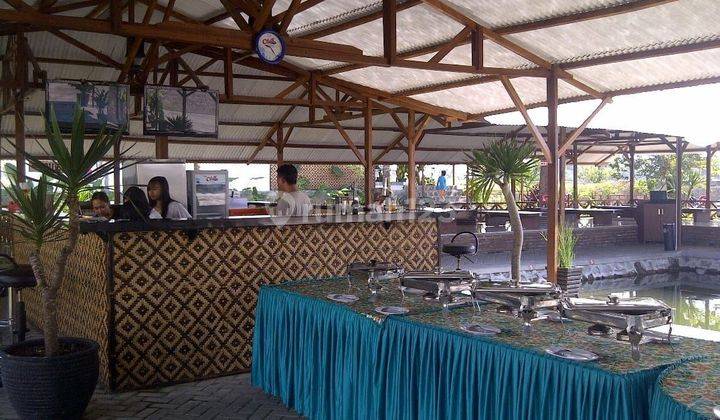 Harga Dibawah Pasaran Ex Restoran Dan Kolam Pancing Prigen, Pasuruan  4