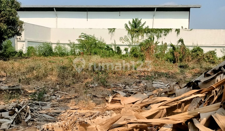 Kavling Murah, Strategi di Perumahan Premier Pavilion, Kalideres, Jakarta *0031-Chrwid* Kavling Murah, Strategi di Perumahan Premier Pavilion, Kalideres, Jakarta *0031-Chrwid*