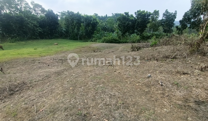Kavling di Desa Ligarmukti, Cimande, Bogor *0005-CHRWID* 1