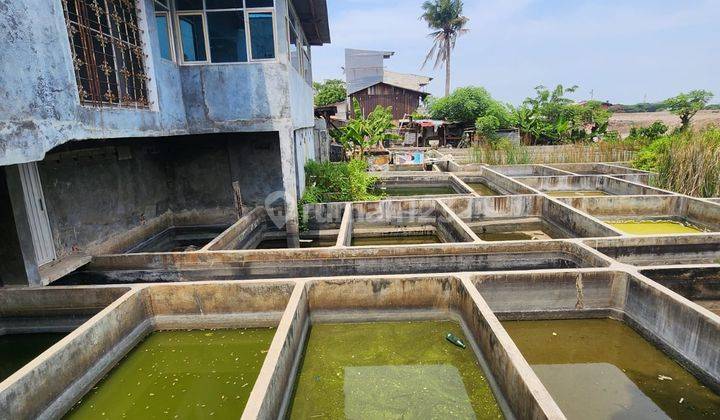 Kavling Untuk Usaha Dan Lokasi Strategis di Tegal Alur, Kalideres, Jakarta Barat 0022 Chrhen 1