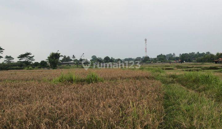 Dijual Tanah Datar di Cariu Jonggol, Jawa Barat. 2