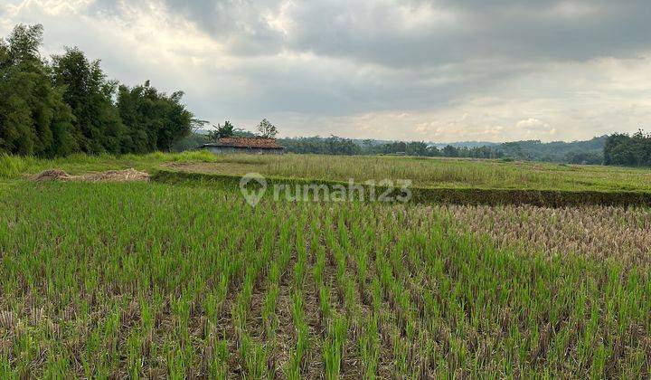 Dijual Tanah Datar di Cariu Jonggol, Jawa Barat. 1