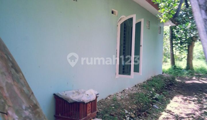 Rumah Dijual Asri dan Luas - Bojonggede - Bogor 2