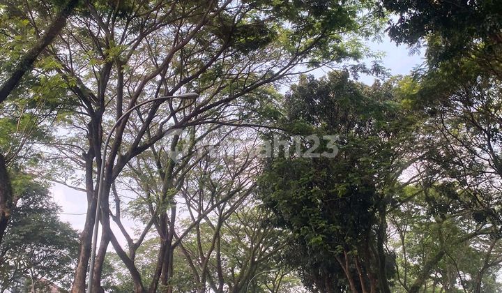 Rumah Mewah Renov Pake Swimpool @cluster Premium Bintaro Rumah Mewah Renov Pake Swimpool @cluster Premium Bintaro