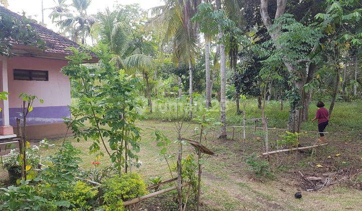 Tanah Premium di Pinggir Pantai di Jembrana, Negara, Bali 9