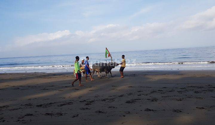 Tanah Super Murah Pinggir Pantai, Sumber Sari, Melaya, Jembrana, Bali 2