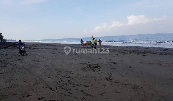 Tanah Super Murah Pinggir Pantai, Sumber Sari, Melaya, Jembrana, Bali 3