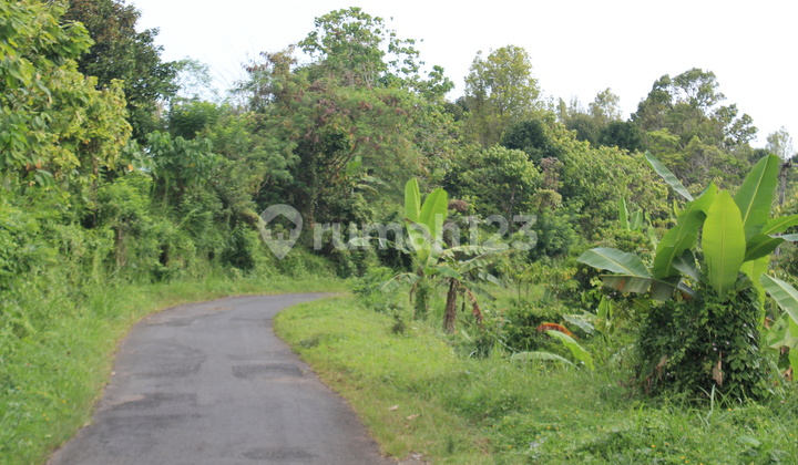 Tanah Kebun dengan pemandangan Gunung Batukaru termurah di Bali