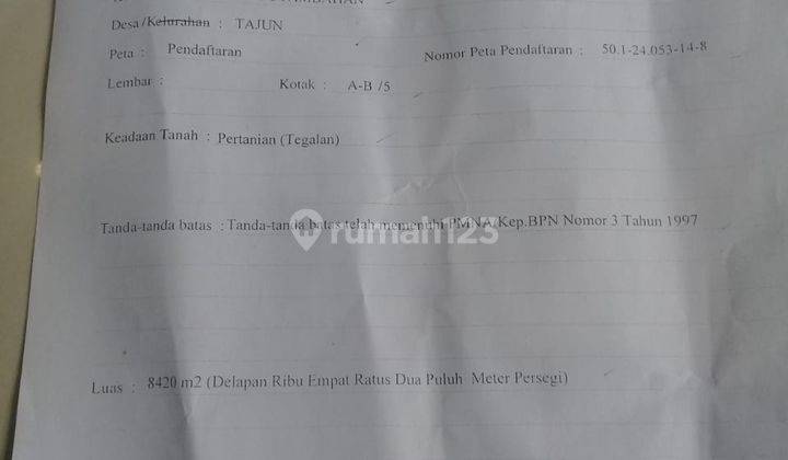 Kebun Cengkeh Produktif di Kintamani Bali 4