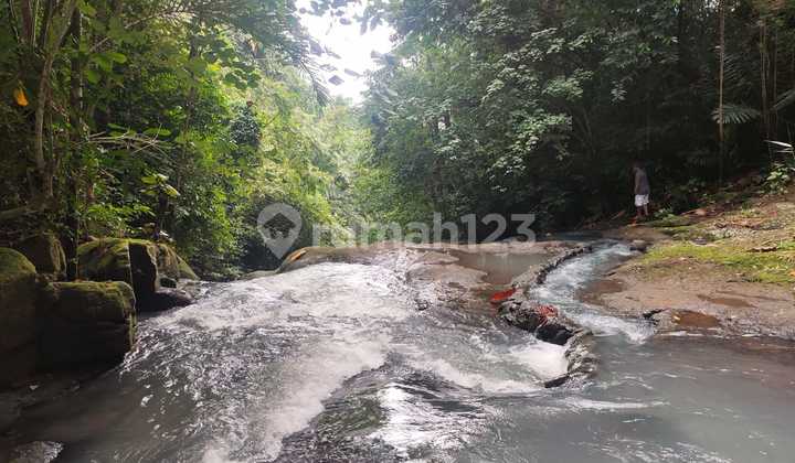 Tabah los sungai murah di Tabanan Bali Tabah los sungai murah di Tabanan Bali