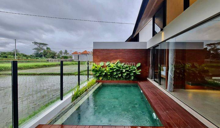 02 Bed Rooms With Exotic Views In Ubud bali 1