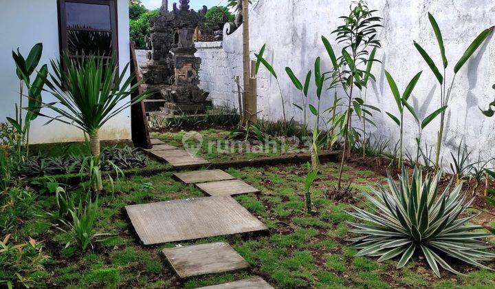 Rumah Sewa Dengan Kebun Luas di Jimbaran Bali 1